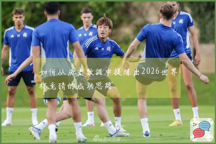 如何从历史数据中提炼出2026世界杯竞猜的成功思路