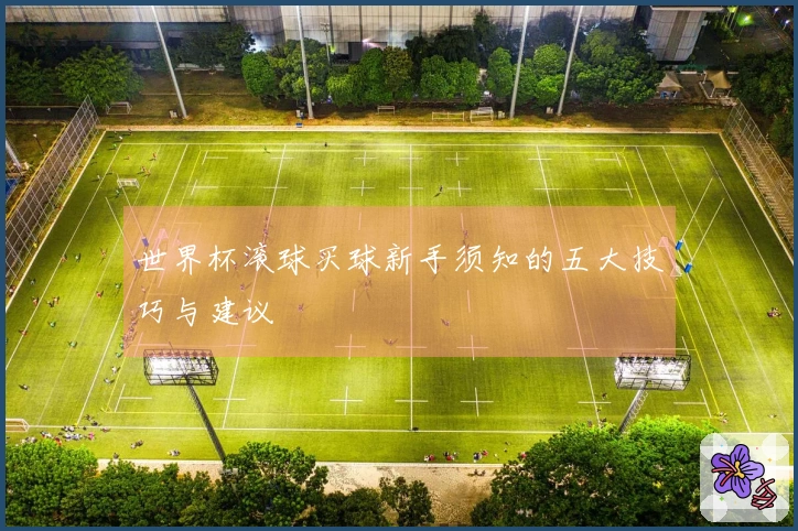 世界杯滚球买球新手须知的五大技巧与建议