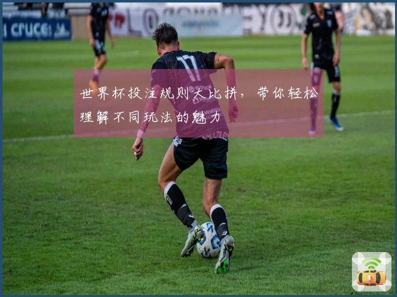 世界杯投注规则大比拼，带你轻松理解不同玩法的魅力