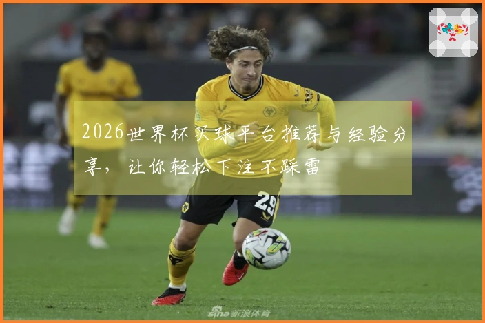 2026世界杯买球平台推荐与经验分享，让你轻松下注不踩雷