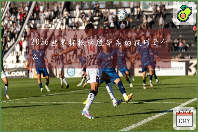 2026世界杯投注胜率高的技巧是什么